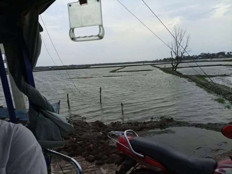 Flooded landscape
